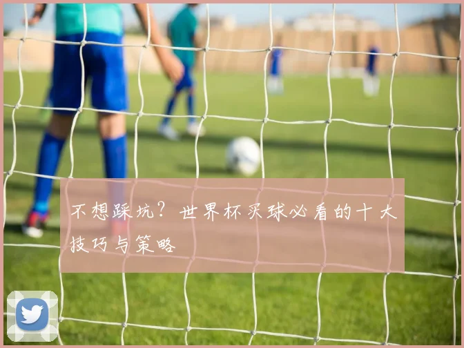 不想踩坑？世界杯买球必看的十大技巧与策略